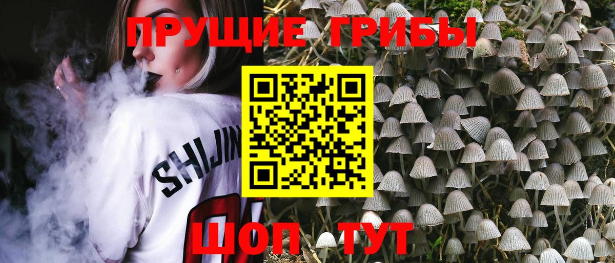 Славянск-на-Кубани  Псилоцибиновые грибы GOLDEN TEACHER  дарнет шоп  Вход с VPN 